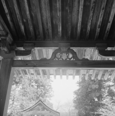 knd_31261()