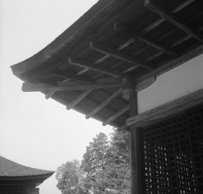 knd_31307()