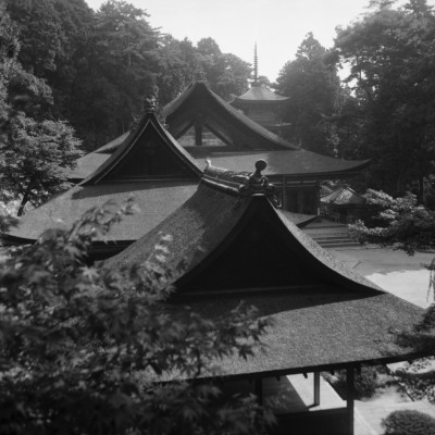knd_31323()