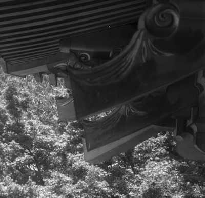 knd_31555()