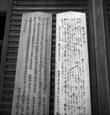 knd_31581()