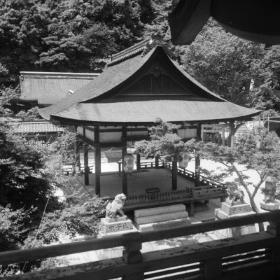 knd_31591()
