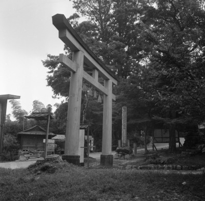 knd_31648()