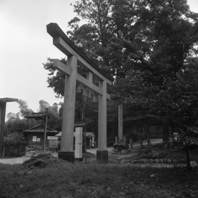 knd_31650()