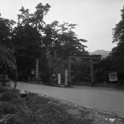 knd_31654()