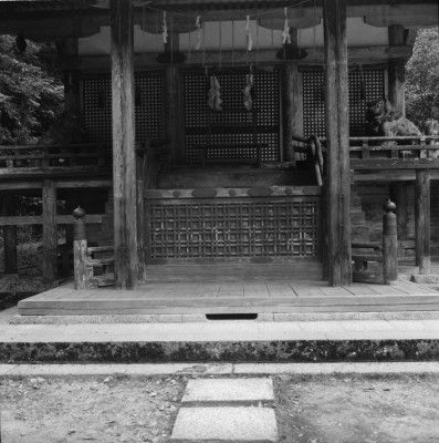 knd_31664()