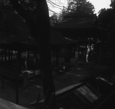 knd_31741()