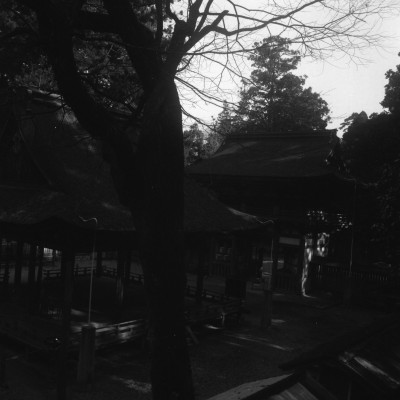 knd_31742()