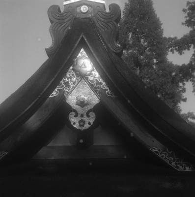 knd_31746()