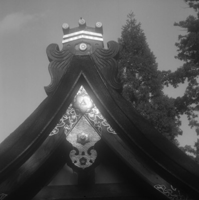 knd_31747()