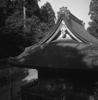 knd_31753()
