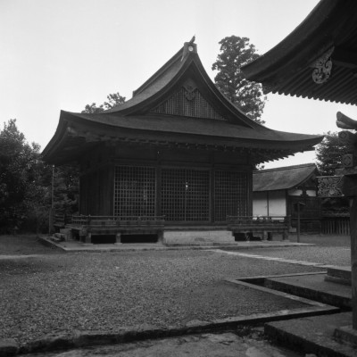 knd_31843()