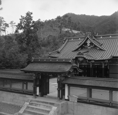 knd_31868()