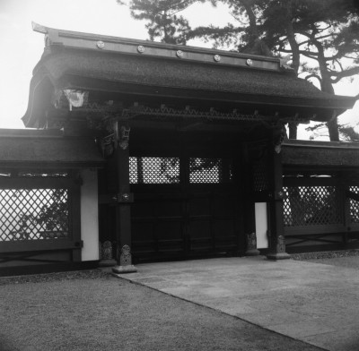 knd_31957()