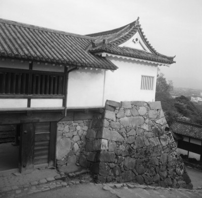 knd_31975()