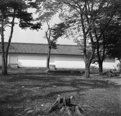 knd_31979()