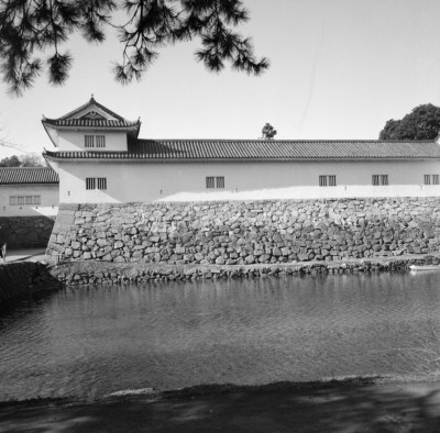 knd_31983()