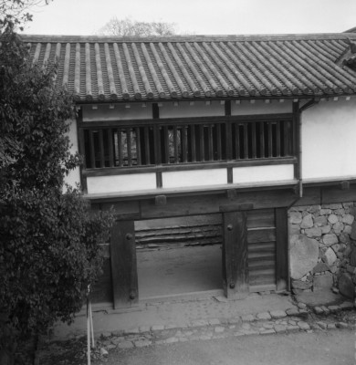 knd_32024()
