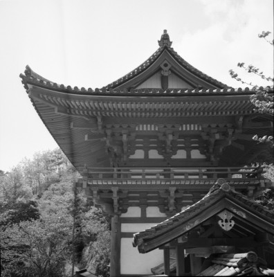 knd_32811()