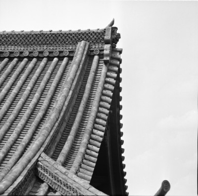 knd_33021()