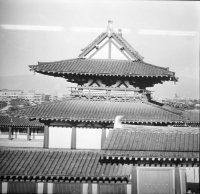 knd_33065()