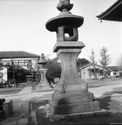 knd_33079()