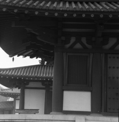 knd_33146()