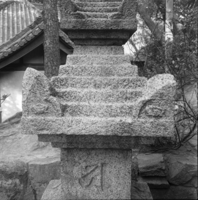 knd_33196()