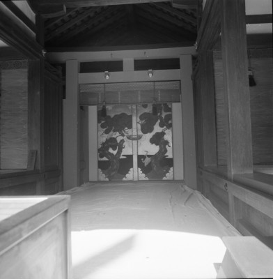 knd_33219()