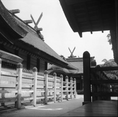 knd_33222()