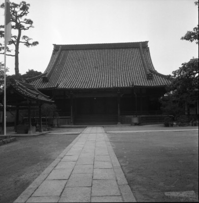 knd_33321()