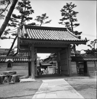knd_33433()