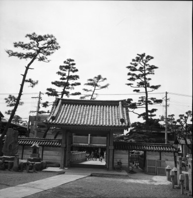 knd_33449()