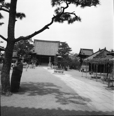 knd_33451()