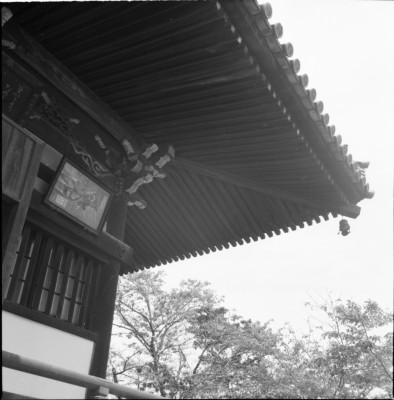 knd_33458()