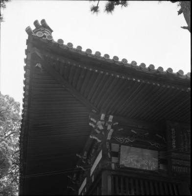knd_33459()