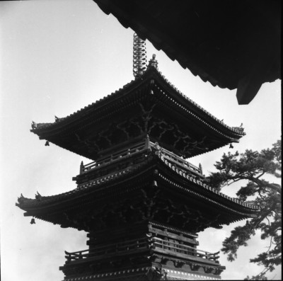 knd_33497()