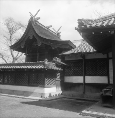 knd_33528()
