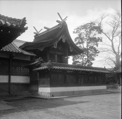 knd_33532()