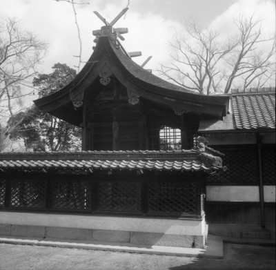knd_33539()
