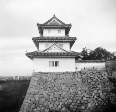 knd_33553()