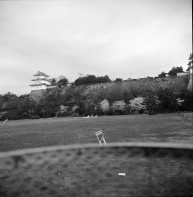 knd_33554()