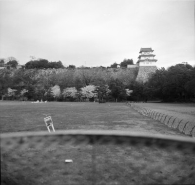 knd_33555()