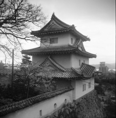 knd_33562()