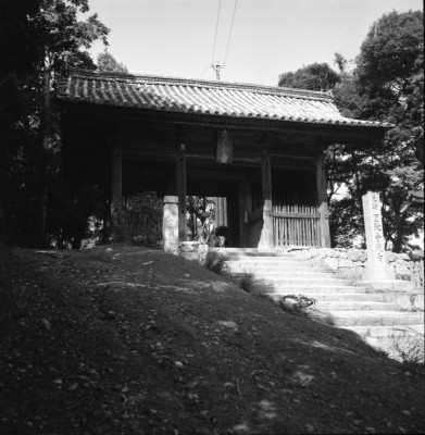 knd_33591()
