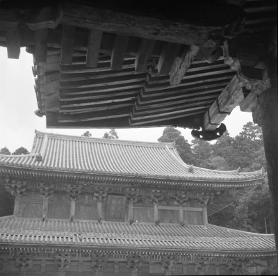knd_33606()