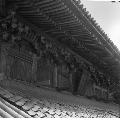 knd_33635()