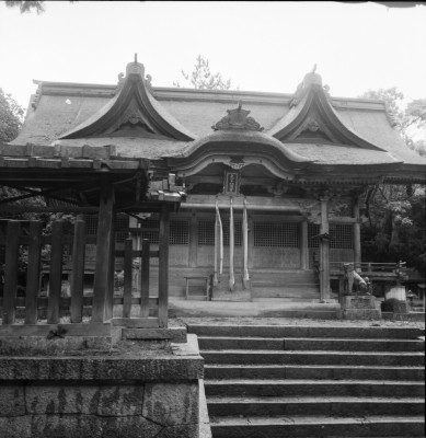 knd_33682()