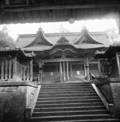 knd_33722()