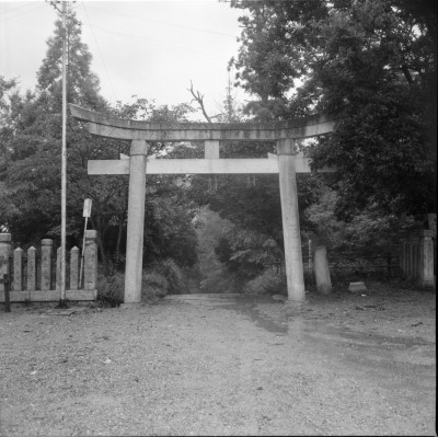 knd_33723()